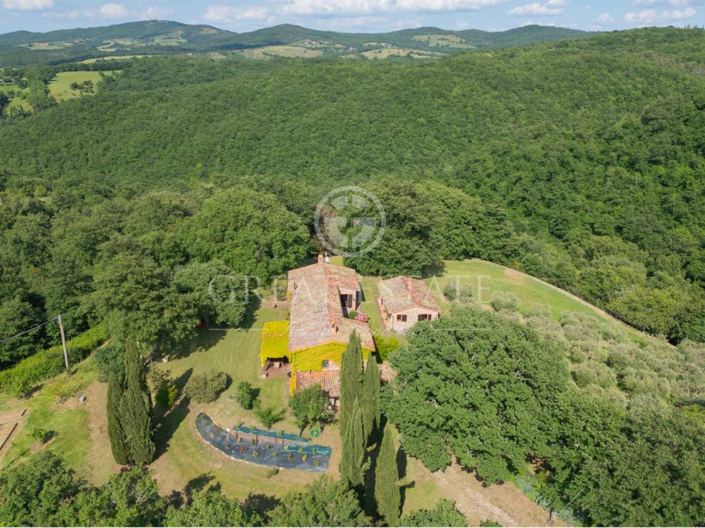 Rustico / casale a San venanzo - Foto 5