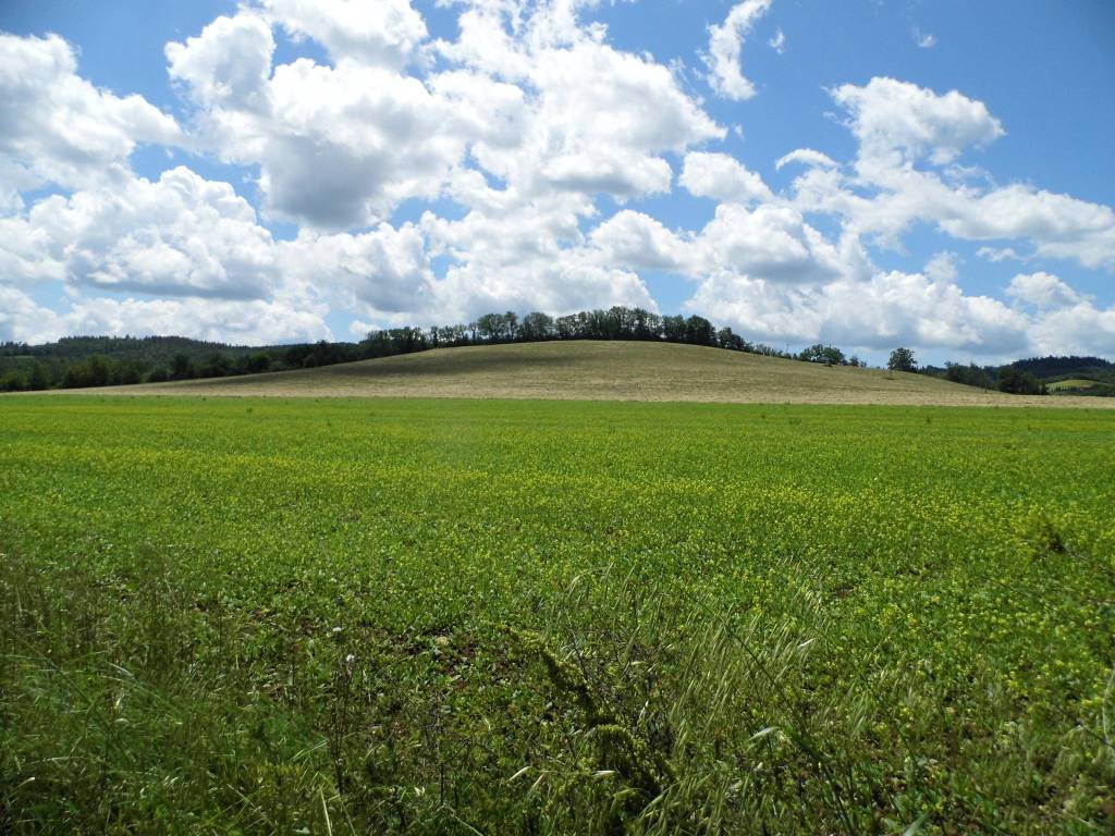 Rustico / casale a Cinigiano - Foto 5