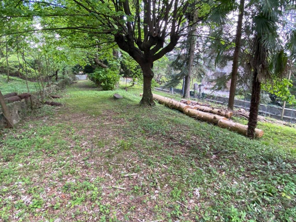 Villa a Viggiù in via Schieppati, 17 - Foto 4