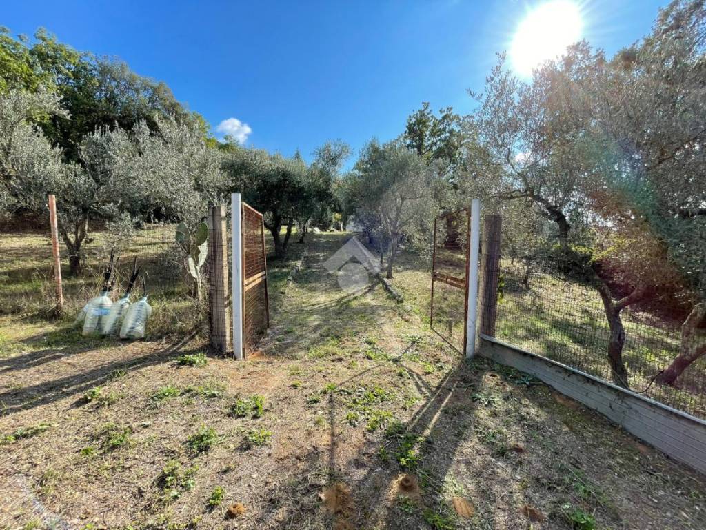 Villa a Matera in C.da timmari - Foto 3
