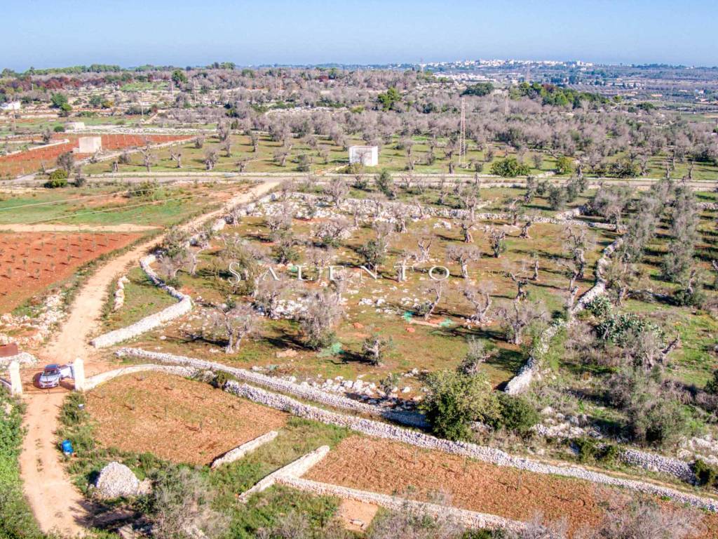 Terreno a Castrignano del capo in Strada Provinciale Presicce Morciano Gagliano del Capo - Foto 2