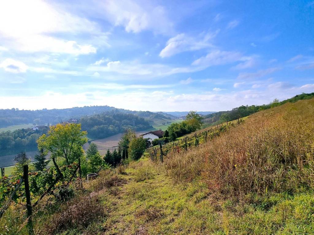Rustico / casale a Asti - Foto 3