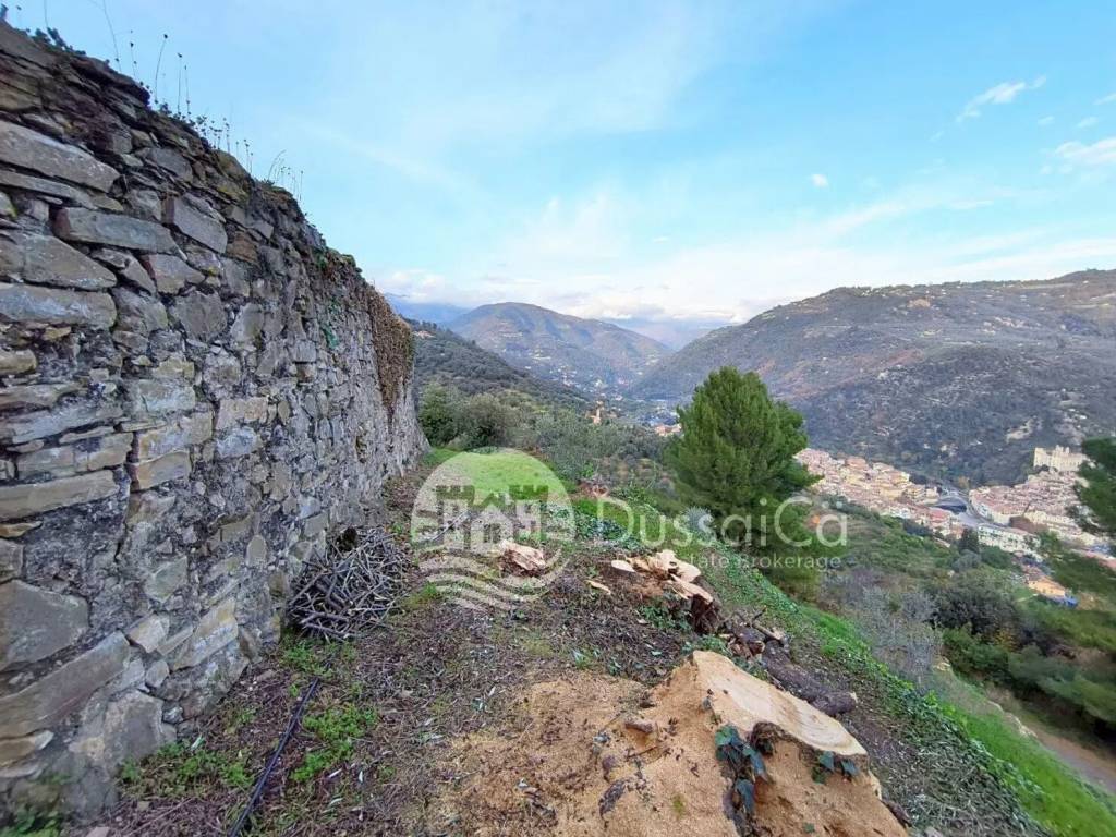 Terreno a Dolceacqua in Via Monsignore B. Tornatore S.N.C. Snc - Foto 4