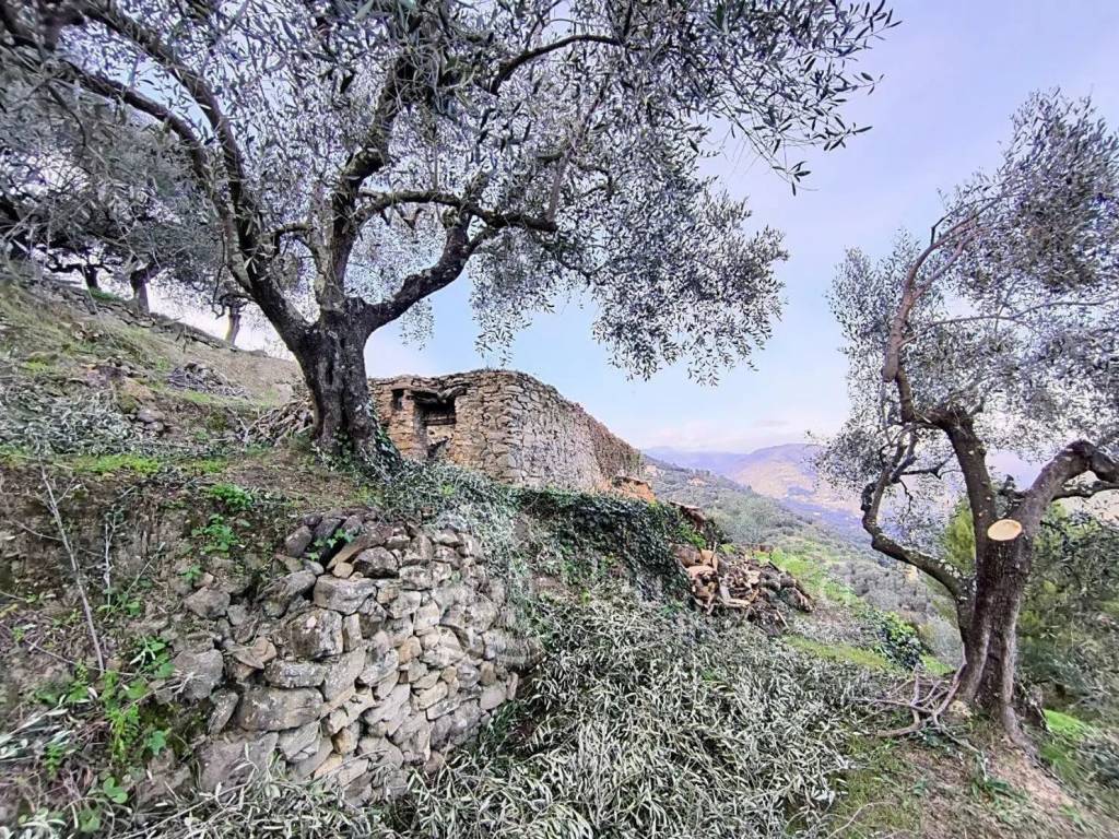 Terreno a Dolceacqua in Via Monsignore B. Tornatore S.N.C. Snc - Foto 5