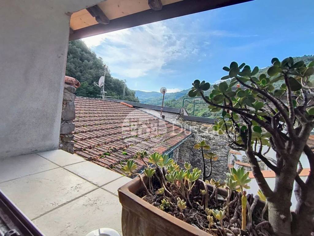 Villa a Isolabona in Strada Provinciale 64, 105 -91 - Foto 4