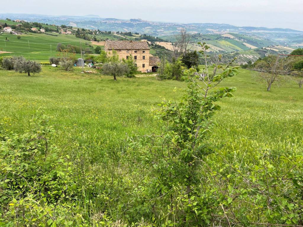 Rustico / casale a Monterubbiano - Foto 3