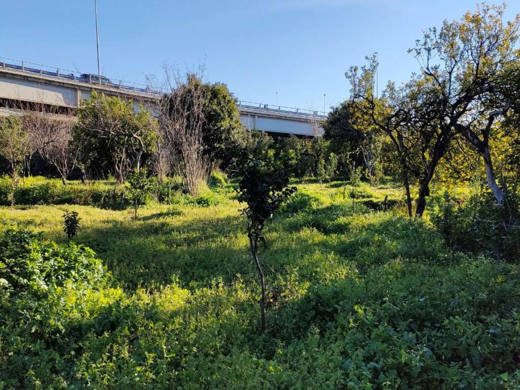Terreno a Reggio calabria in Contrada Zuccalà, 5 - Foto 2