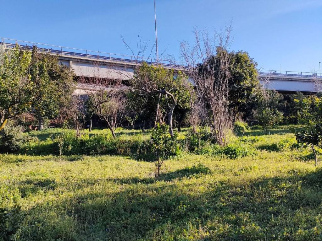 Terreno a Reggio calabria in Contrada Zuccalà, 5 - Foto 3
