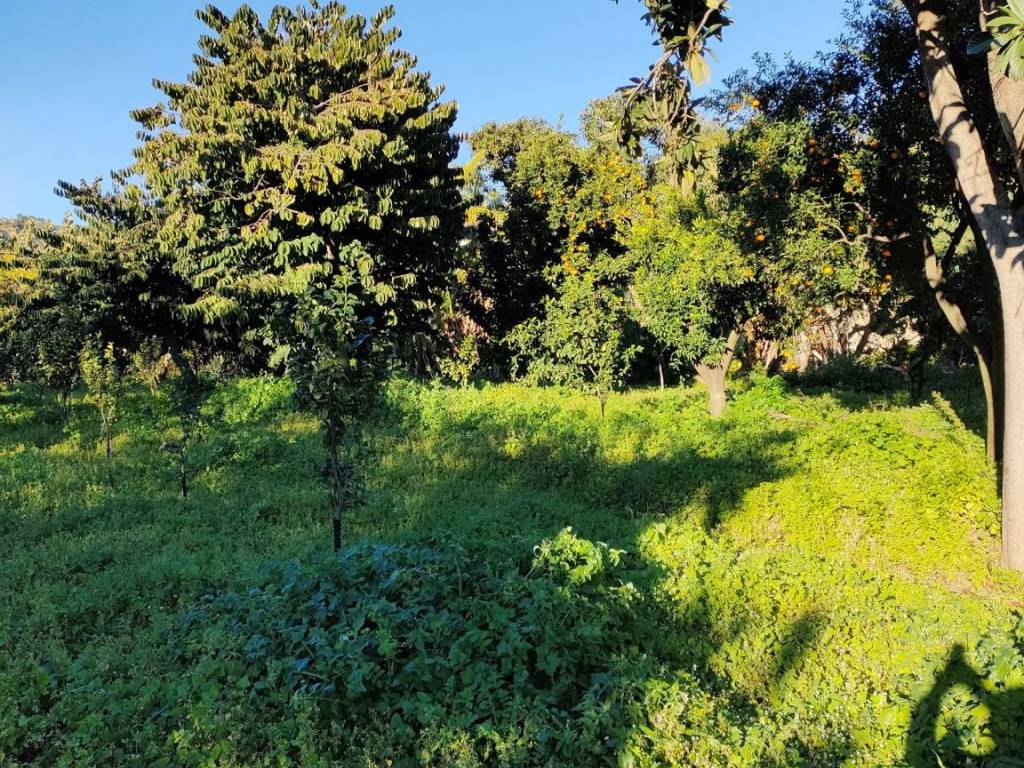 Terreno a Reggio calabria in Contrada Zuccalà, 5 - Foto 4