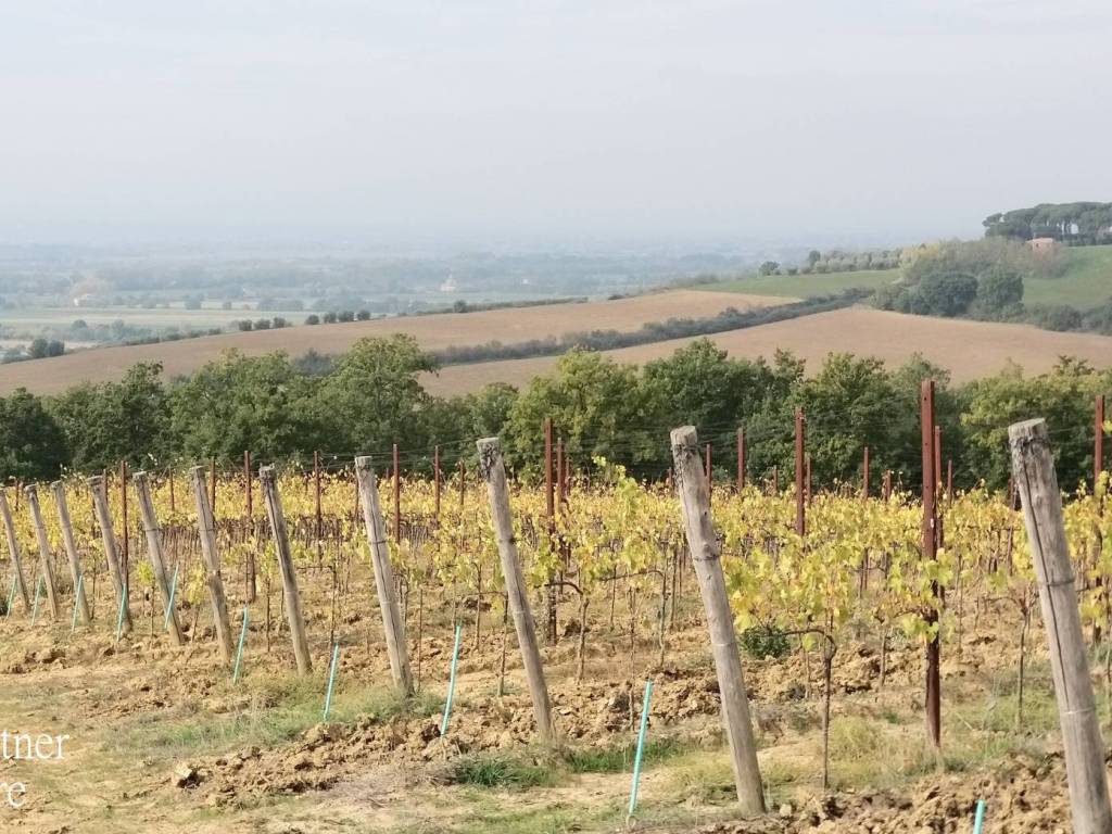 Terreno a Cortona in Chianacce - Foto 2