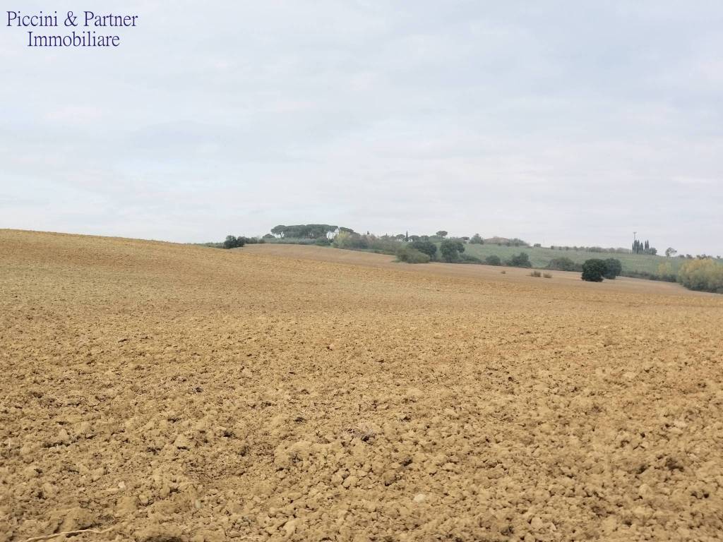 Terreno a Cortona in Chianacce - Foto 3