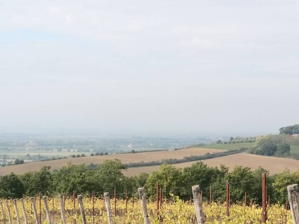 Terreno a Cortona in Chianacce - Foto 4