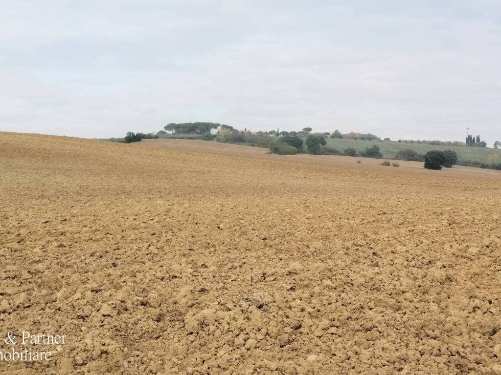 Terreno a Cortona in Chianacce - Foto 5