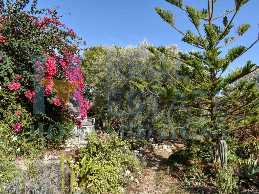 Villa a Noto in Via Tommaso Fazello, 228 - Foto 3