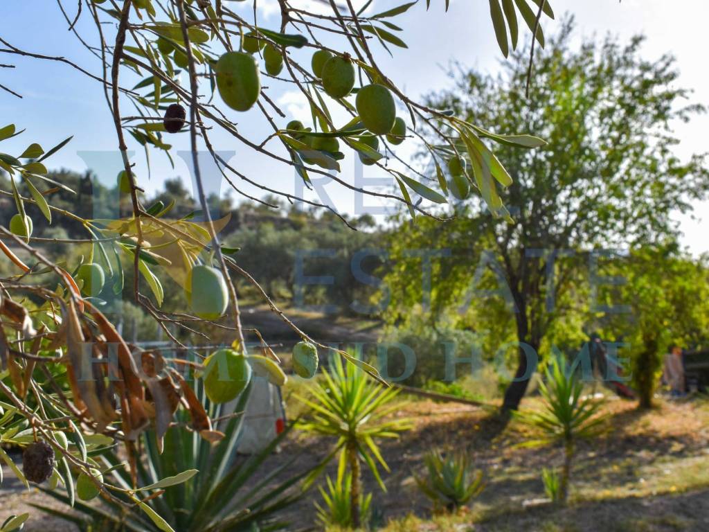 Villa a Noto in Via Tommaso Fazello, 228 - Foto 4