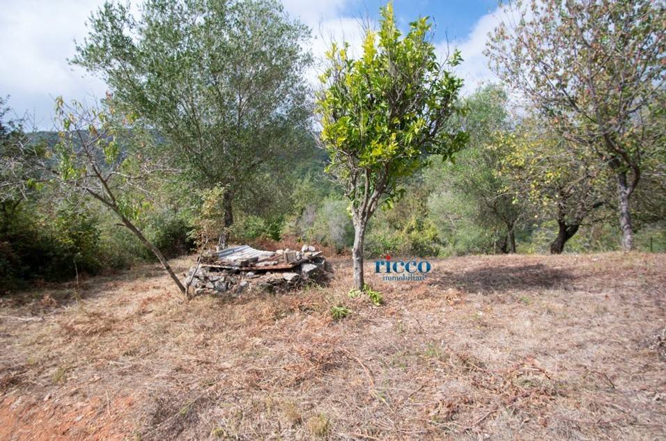Terreno a Camerota in Via Buico - Foto 4