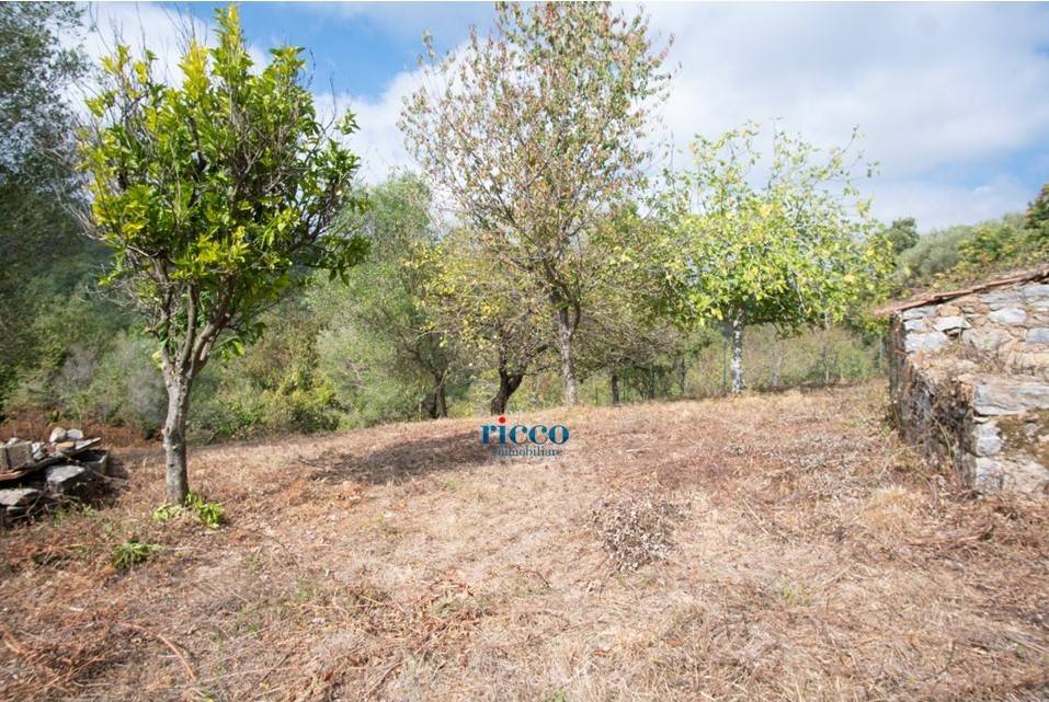Terreno a Camerota in Via Buico - Foto 5