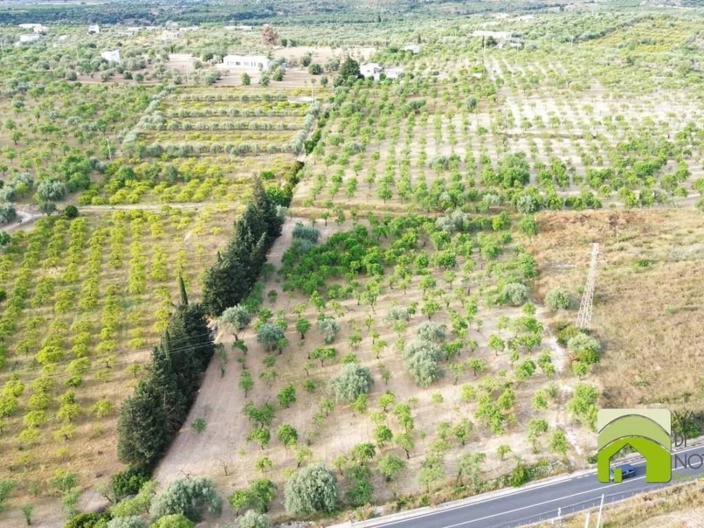Terreno a Noto in Via Gioi S.N.C. - Foto 2