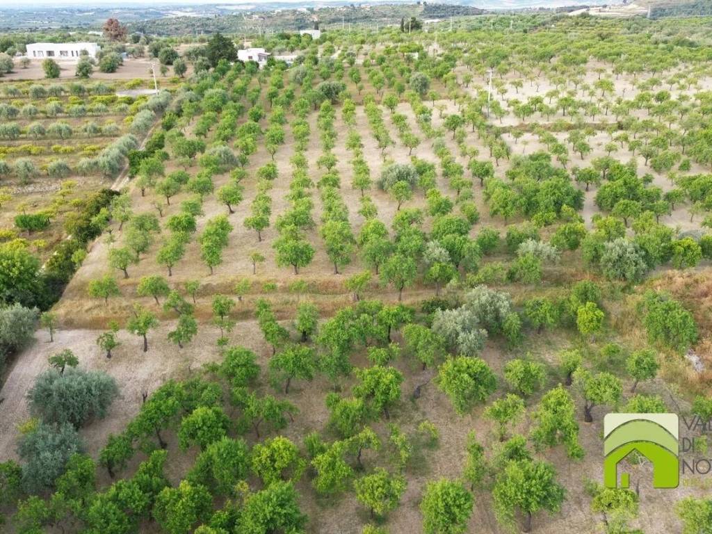 Terreno a Noto in Via Gioi S.N.C. - Foto 3