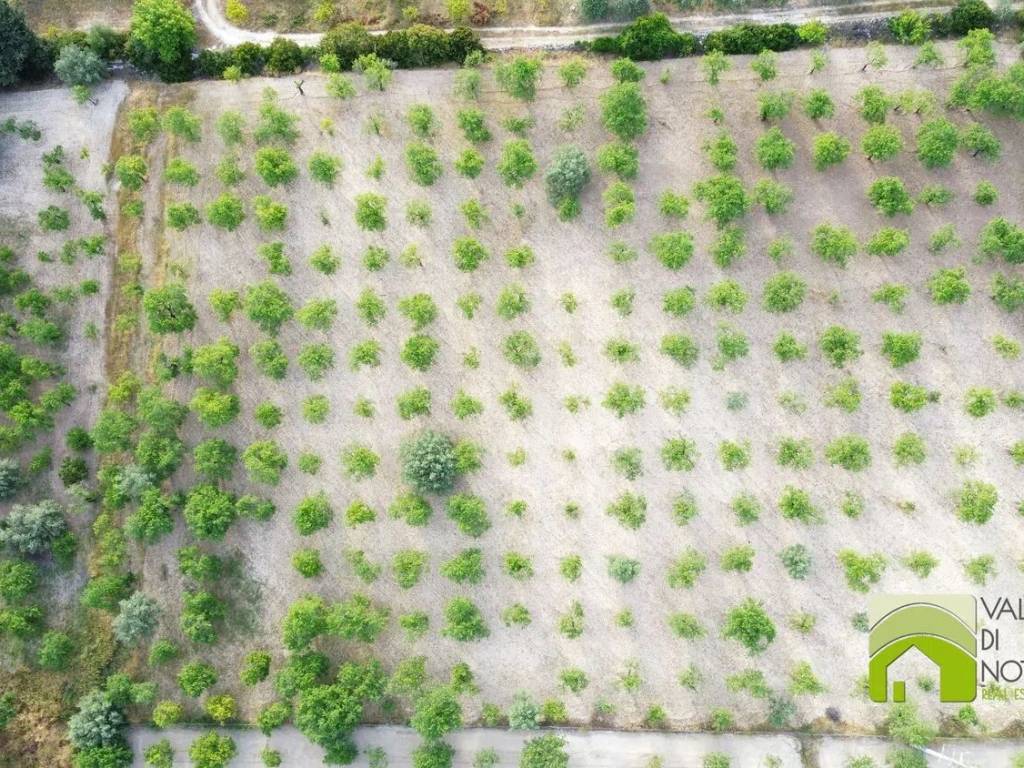 Terreno a Noto in Via Gioi S.N.C. - Foto 4