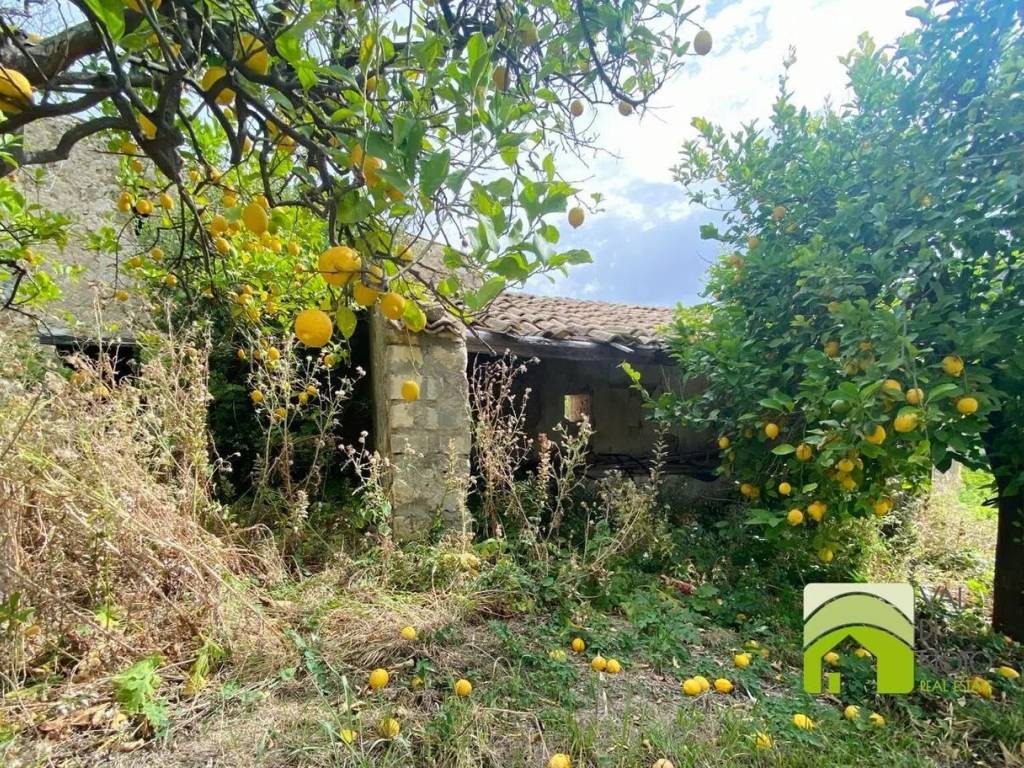 Rustico / casale a Noto in Contrada Fiumara S.N.C. - Foto 2