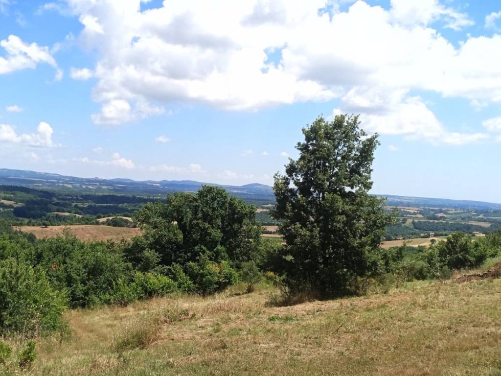 Rustico / casale a Sorano - Foto 3