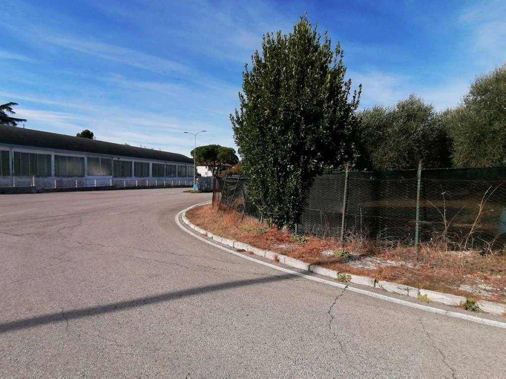 Terreno a Monsano - Foto 3