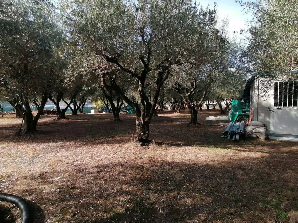 Terreno a Monsano - Foto 5
