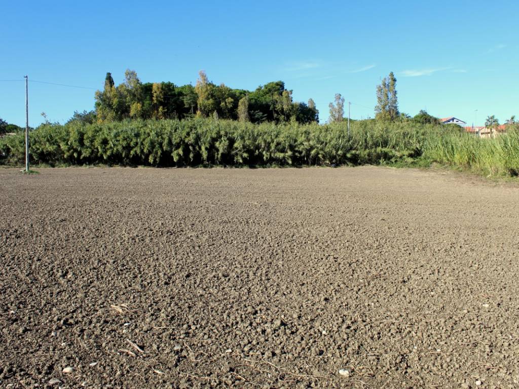 Rustico / casale a Montenero di bisaccia in Via SS 16 - Foto 5