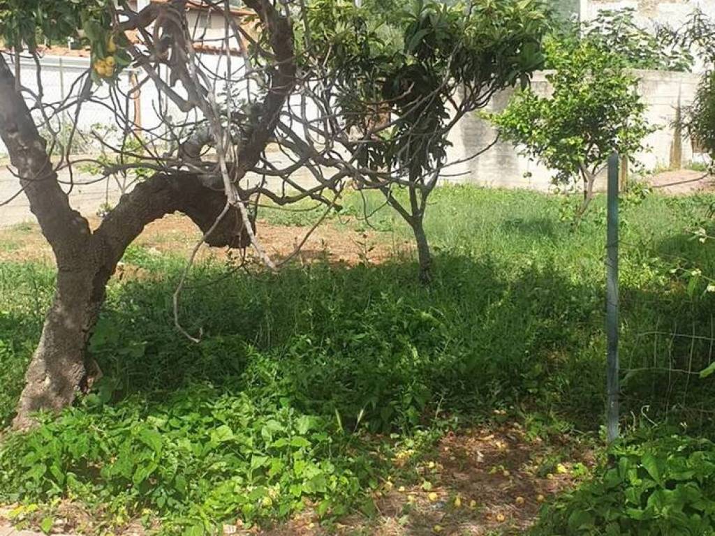 Villa a Cinisi in Via Galileo Galilei - Foto 4