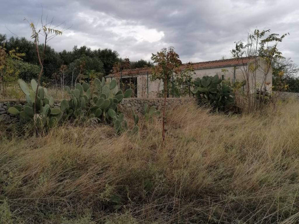 Rustico / casale a San giovanni rotondo in Contrada Matine - Foto 5