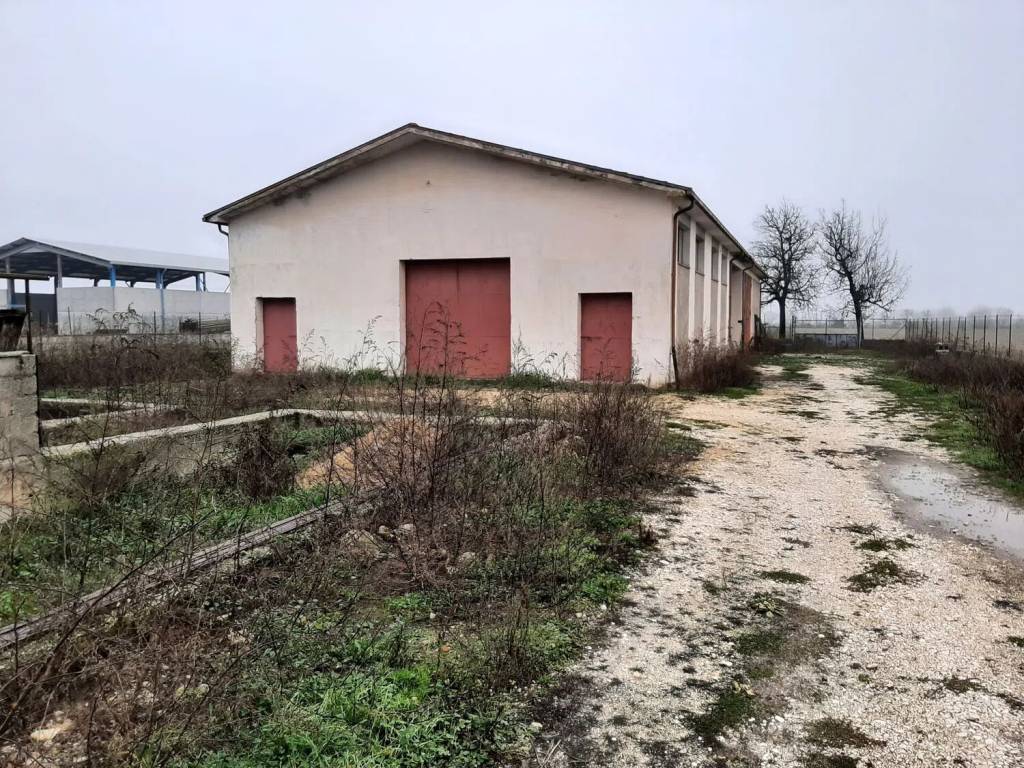 Immobile a Avezzano in Via Nuova S.N.C. - Foto 3