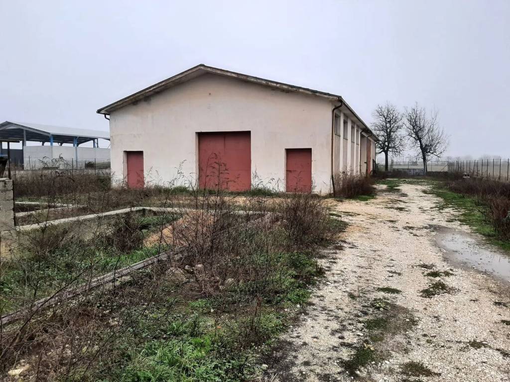Immobile a Avezzano in Via Nuova S.N.C. - Foto 4