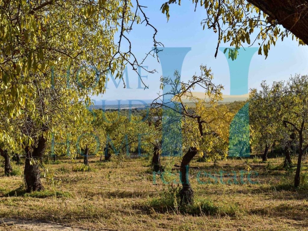 Terreno a Noto in Via Tommaso Fazello, 228 - Foto 3