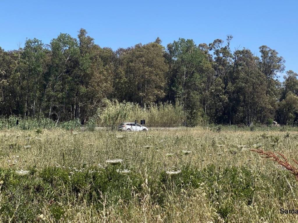 Rustico / casale a Oristano in monte gonella ,1 - Foto 5