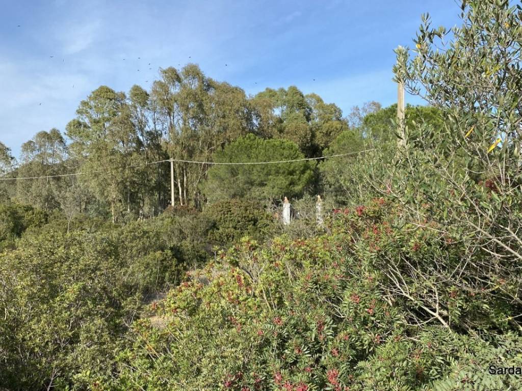 Terreno a Serdiana in località Maidana ,snc - Foto 3