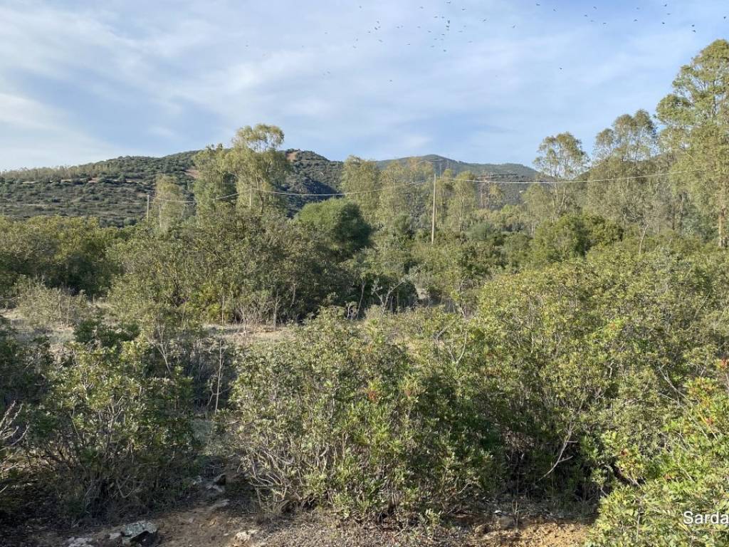 Terreno a Serdiana in località Maidana ,snc - Foto 5