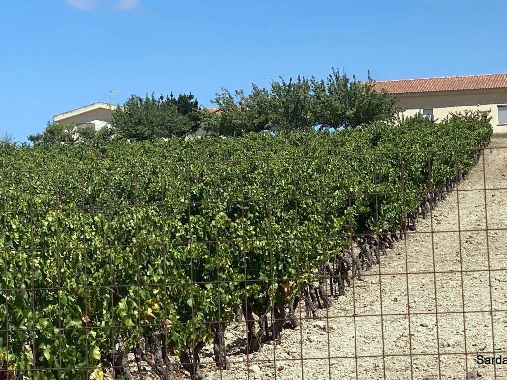 Villa a Soleminis in sa spinarba ,snc - Foto 2