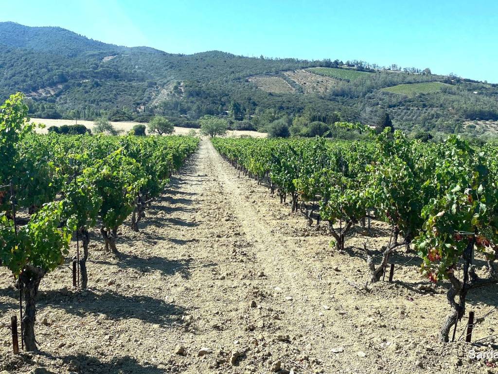 Villa a Soleminis in sa spinarba ,snc - Foto 3