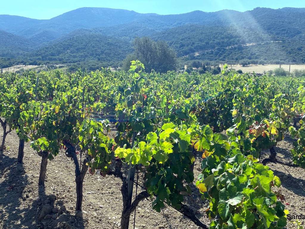 Villa a Soleminis in sa spinarba ,snc - Foto 5