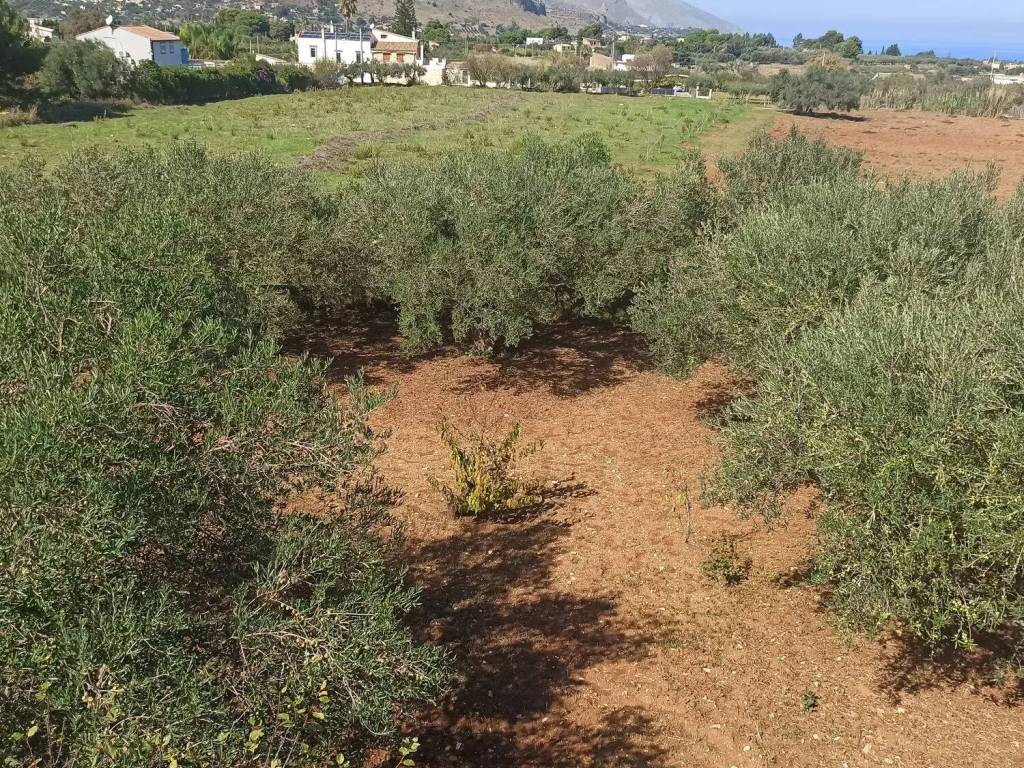 Villa a Castellammare del golfo in Contrada Fraginesi S.N.C. - Foto 4