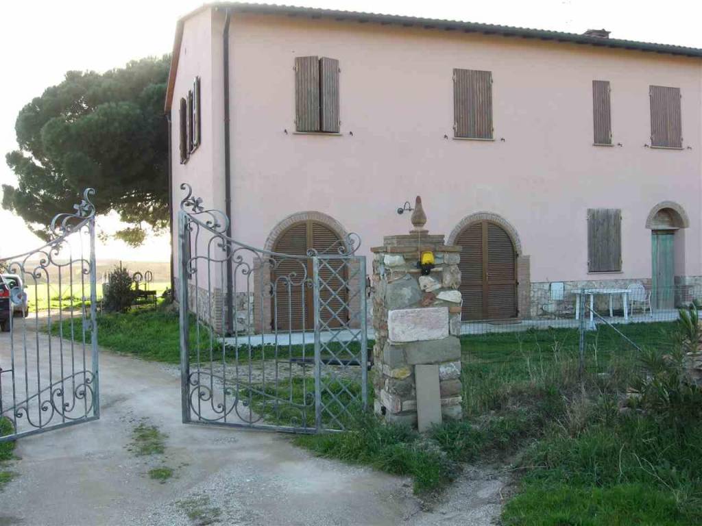 Rustico / casale a San vincenzo in RIMIGLIANO , - Foto 2