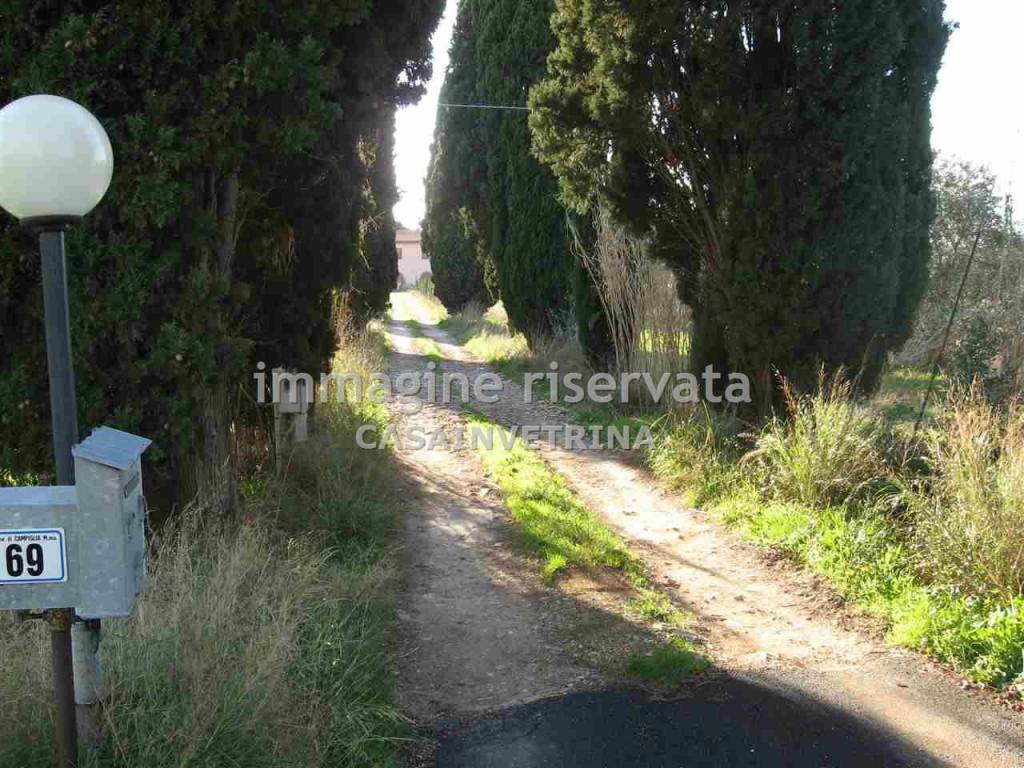 Rustico / casale a San vincenzo in RIMIGLIANO , - Foto 3