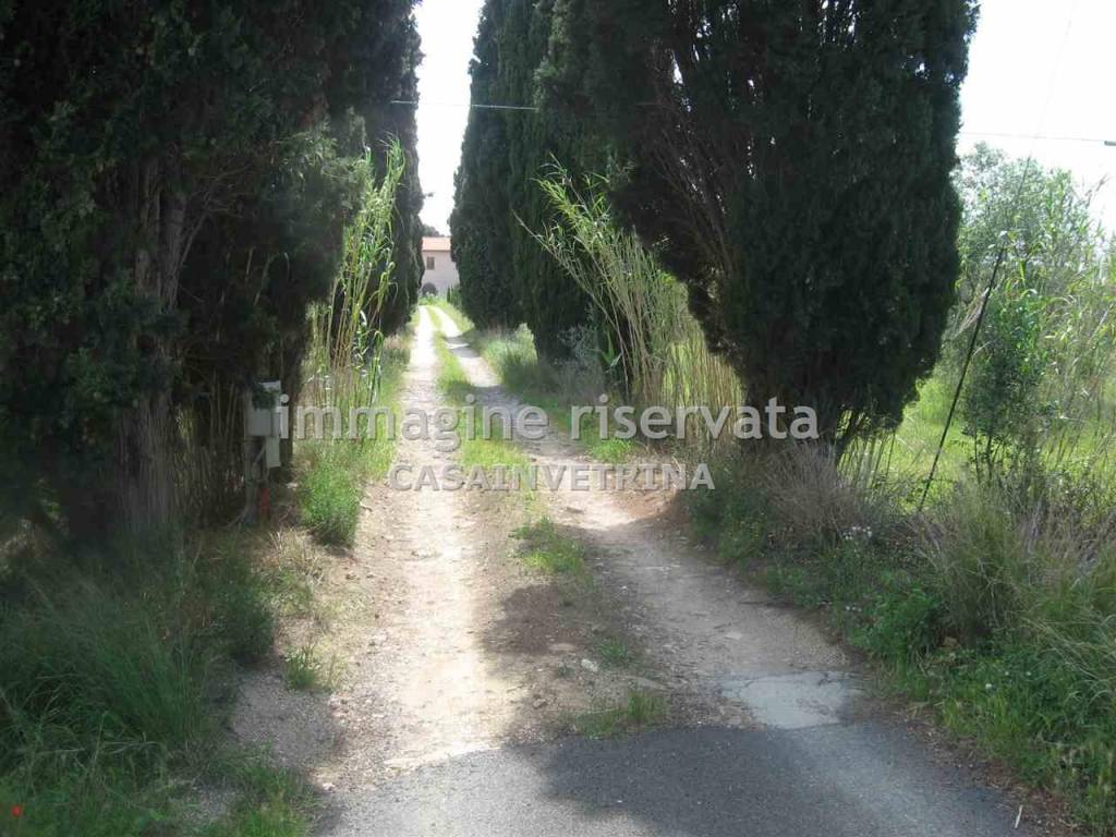 Rustico / casale a San vincenzo in RIMIGLIANO , - Foto 4