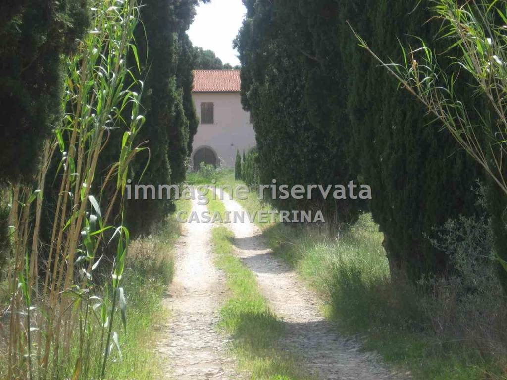 Rustico / casale a San vincenzo in RIMIGLIANO , - Foto 5