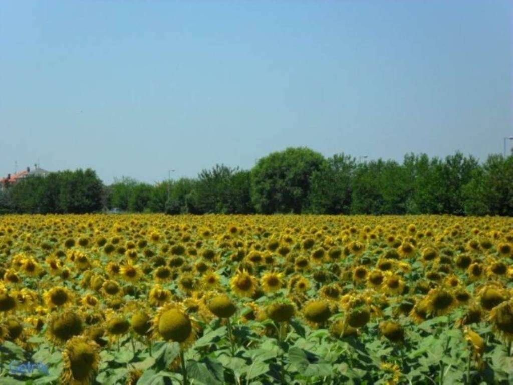 Terreno a Rimini in via San Paolo 24 - Foto 2