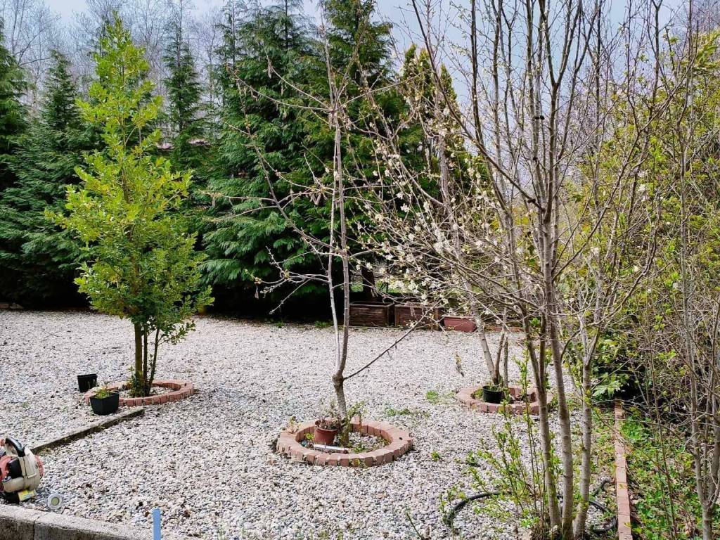 Villa a Santo stefano in aspromonte in Strada Pinema Quarti - Foto 5