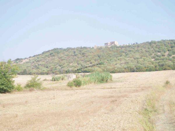 Rustico / casale a Campagnatico in LOC. VIGNONE, 140 - Foto 3