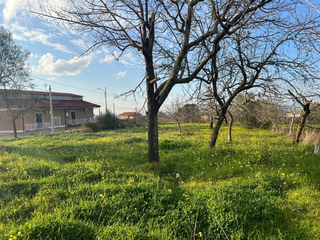 Terreno a Vibo valentia in Via Roma - Foto 2
