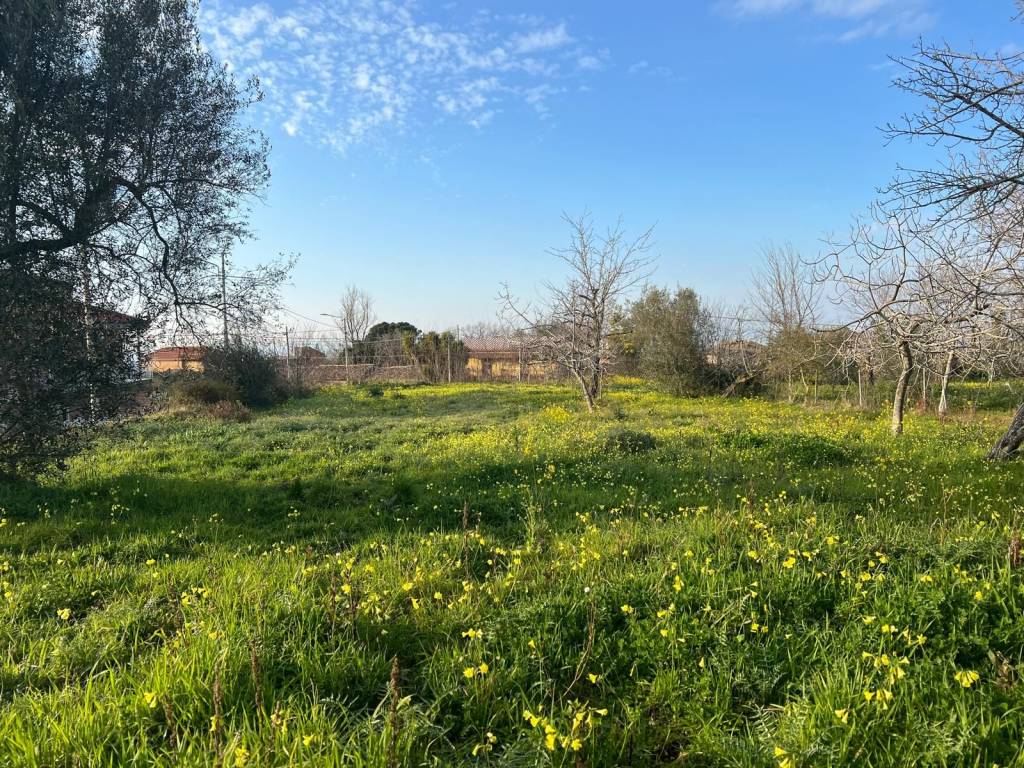 Terreno a Vibo valentia in Via Roma - Foto 3